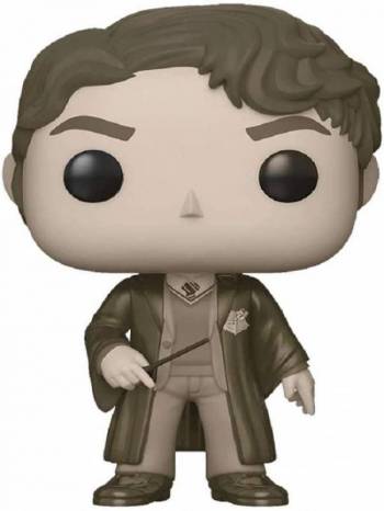 funko harry_potter tom_riddle